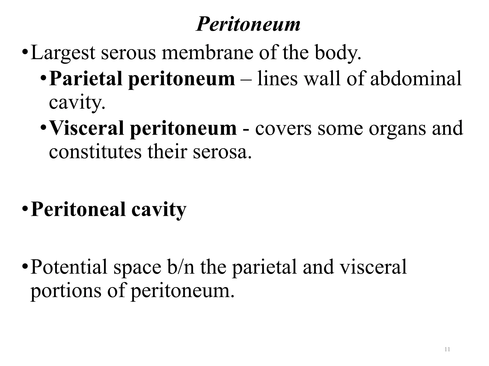 Peritoneum
•Largest serous membrane of the body.
•Parietal peritoneum – lines wall of abdominal
cavity.
•Visceral peritoneum - covers some organs and
constitutes their serosa.
•Peritoneal cavity
•Potential space b/n the parietal and visceral
portions of peritoneum.
11
 