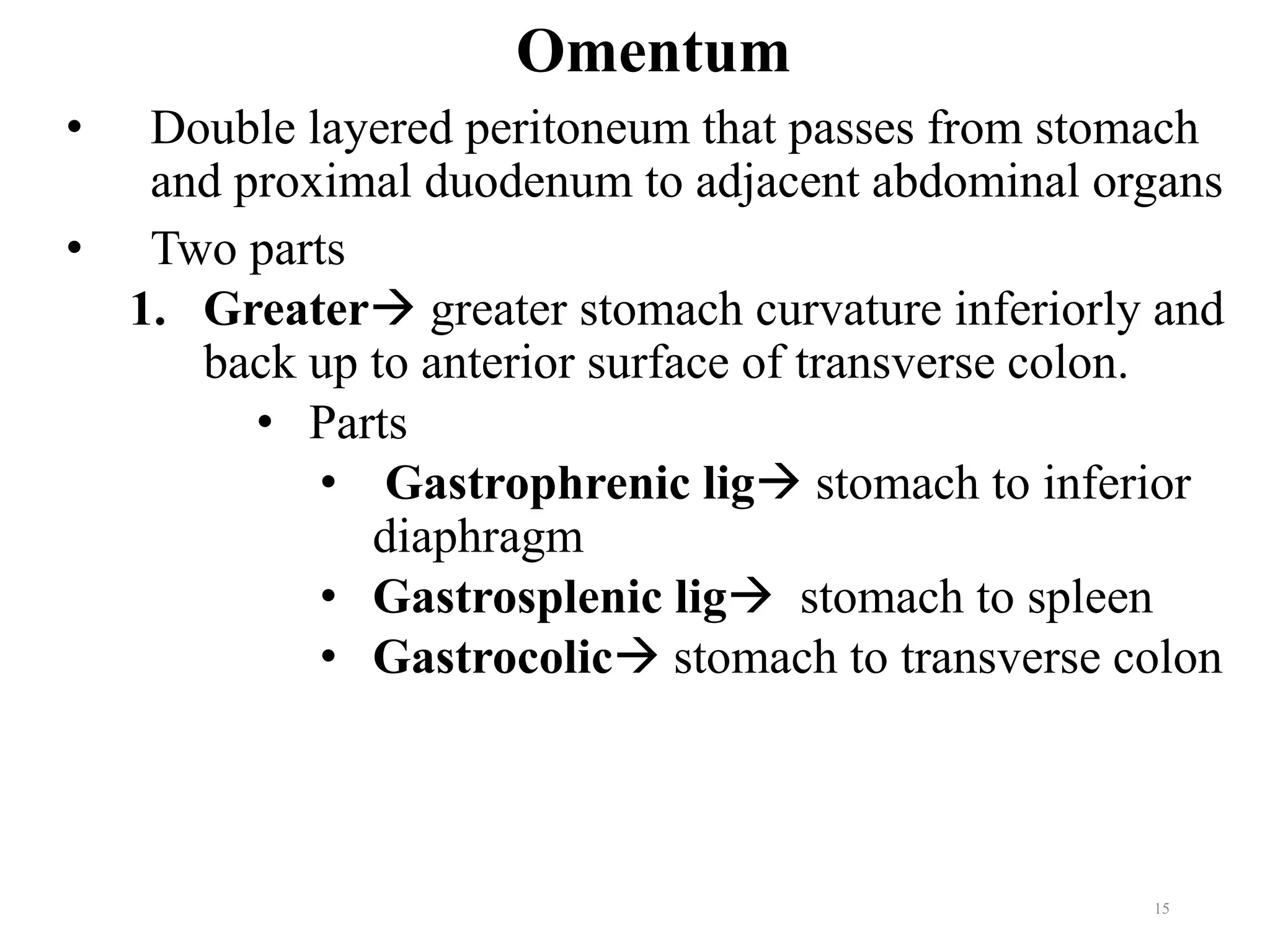 Omentum
• Double layered peritoneum that passes from stomach
and proximal duodenum to adjacent abdominal organs
• Two parts
1. Greater→ greater stomach curvature inferiorly and
back up to anterior surface of transverse colon.
• Parts
• Gastrophrenic lig→ stomach to inferior
diaphragm
• Gastrosplenic lig→ stomach to spleen
• Gastrocolic→ stomach to transverse colon
15
 