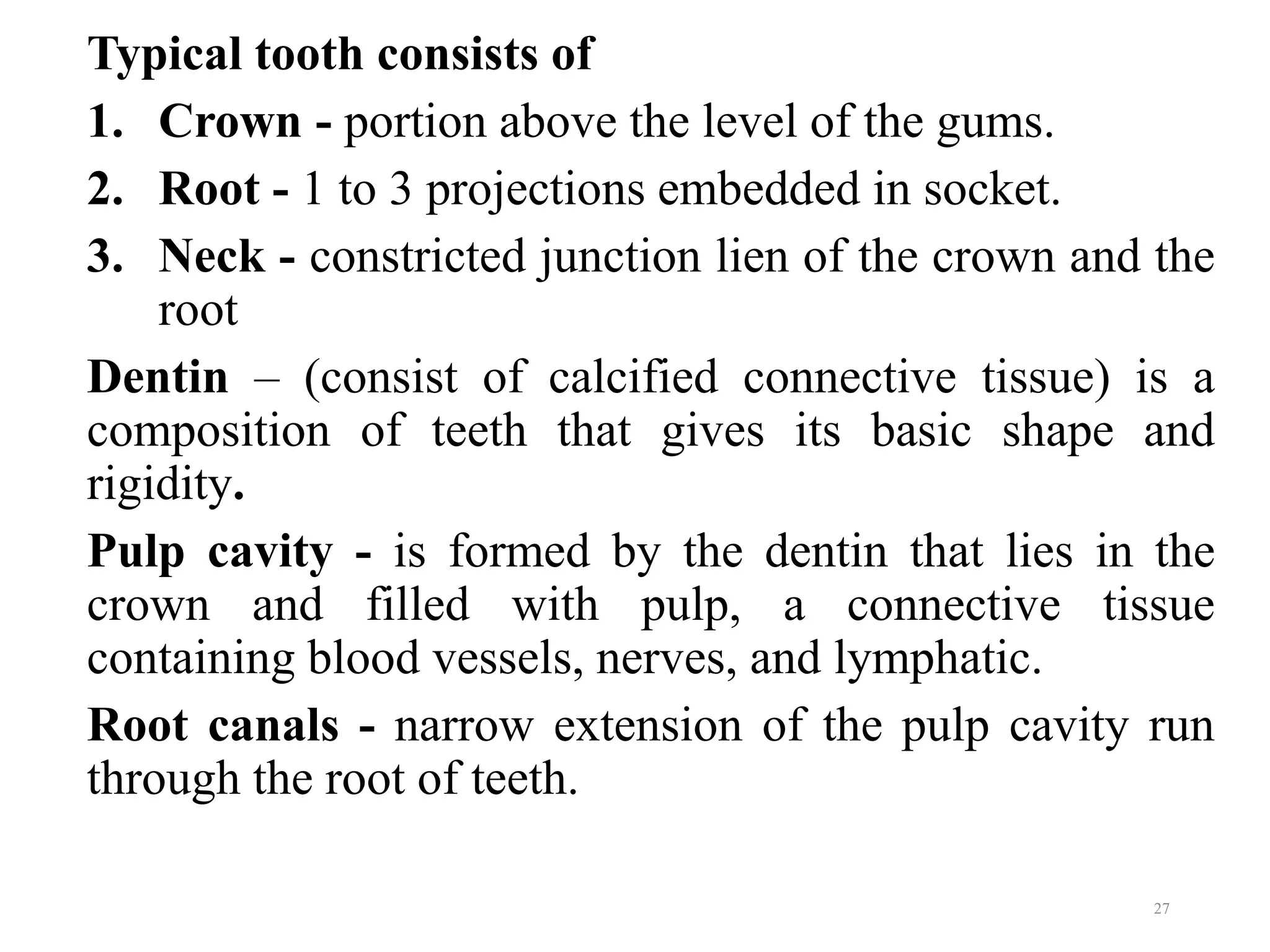 Typical tooth consists of
1. Crown - portion above the level of the gums.
2. Root - 1 to 3 projections embedded in socket.
3. Neck - constricted junction lien of the crown and the
root
Dentin – (consist of calcified connective tissue) is a
composition of teeth that gives its basic shape and
rigidity.
Pulp cavity - is formed by the dentin that lies in the
crown and filled with pulp, a connective tissue
containing blood vessels, nerves, and lymphatic.
Root canals - narrow extension of the pulp cavity run
through the root of teeth.
27
 