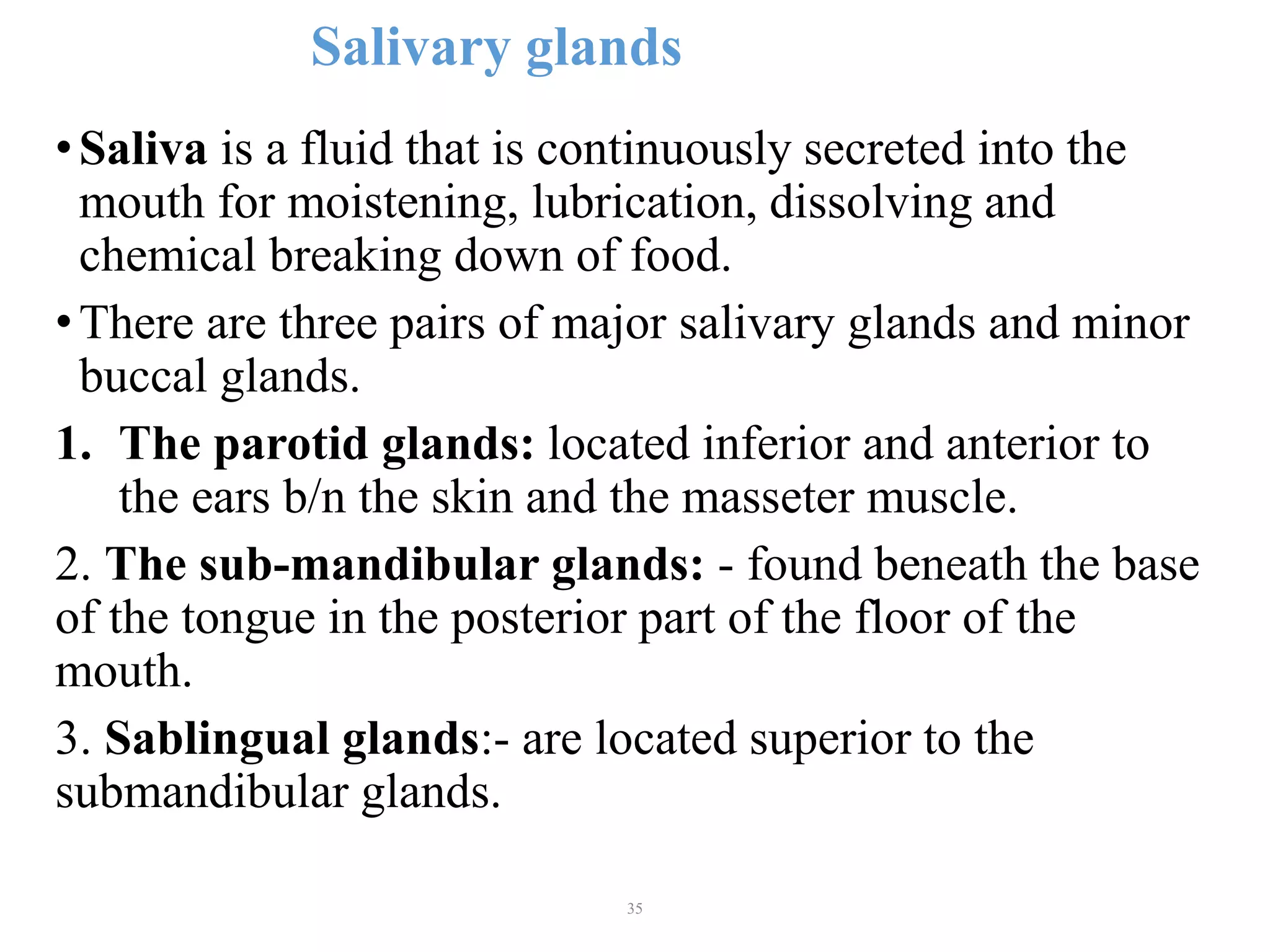 35
Salivary glands
•Saliva is a fluid that is continuously secreted into the
mouth for moistening, lubrication, dissolving and
chemical breaking down of food.
•There are three pairs of major salivary glands and minor
buccal glands.
1. The parotid glands: located inferior and anterior to
the ears b/n the skin and the masseter muscle.
2. The sub-mandibular glands: - found beneath the base
of the tongue in the posterior part of the floor of the
mouth.
3. Sablingual glands:- are located superior to the
submandibular glands.
 