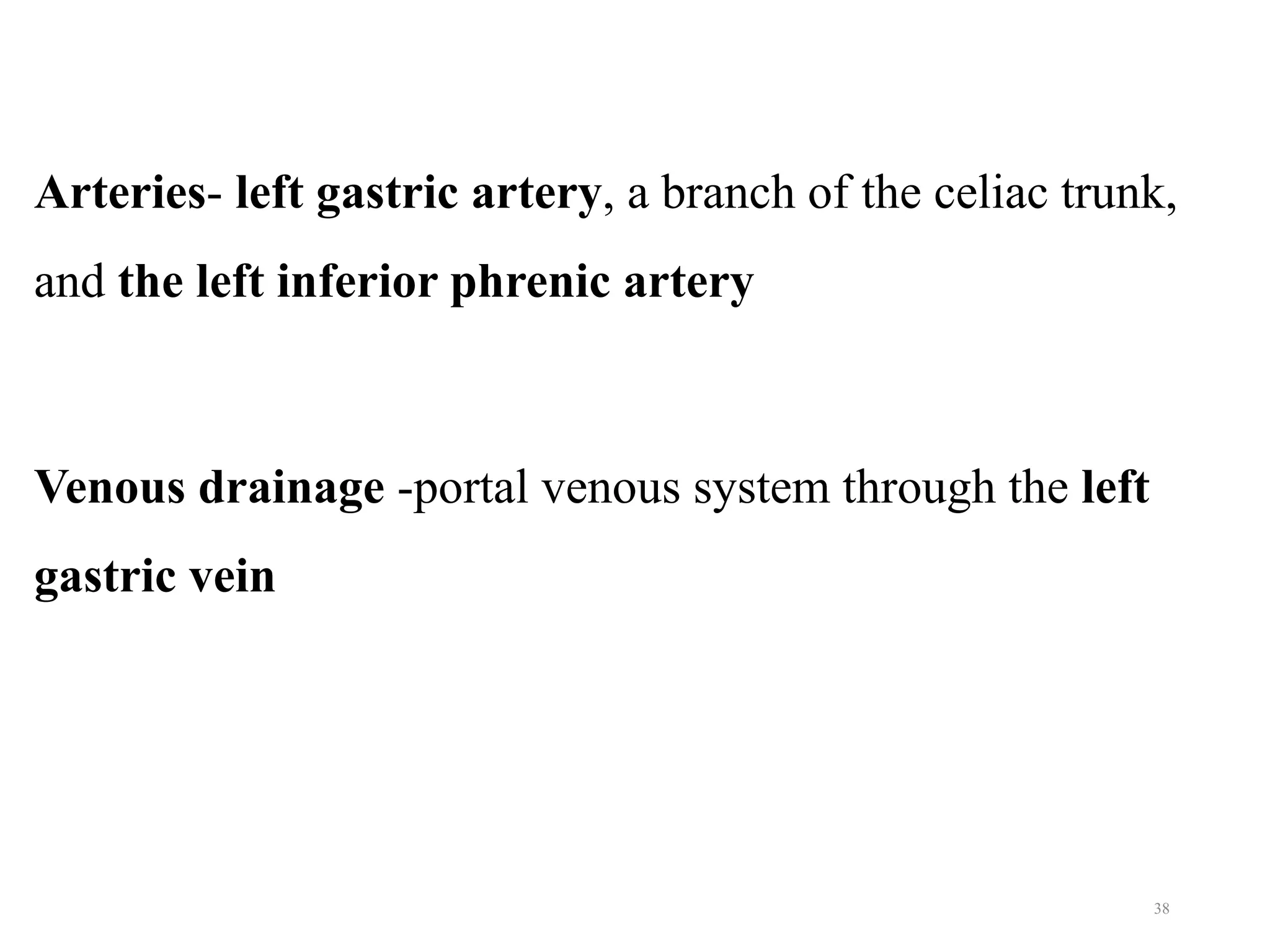 Arteries- left gastric artery, a branch of the celiac trunk,
and the left inferior phrenic artery
Venous drainage -portal venous system through the left
gastric vein
38
 