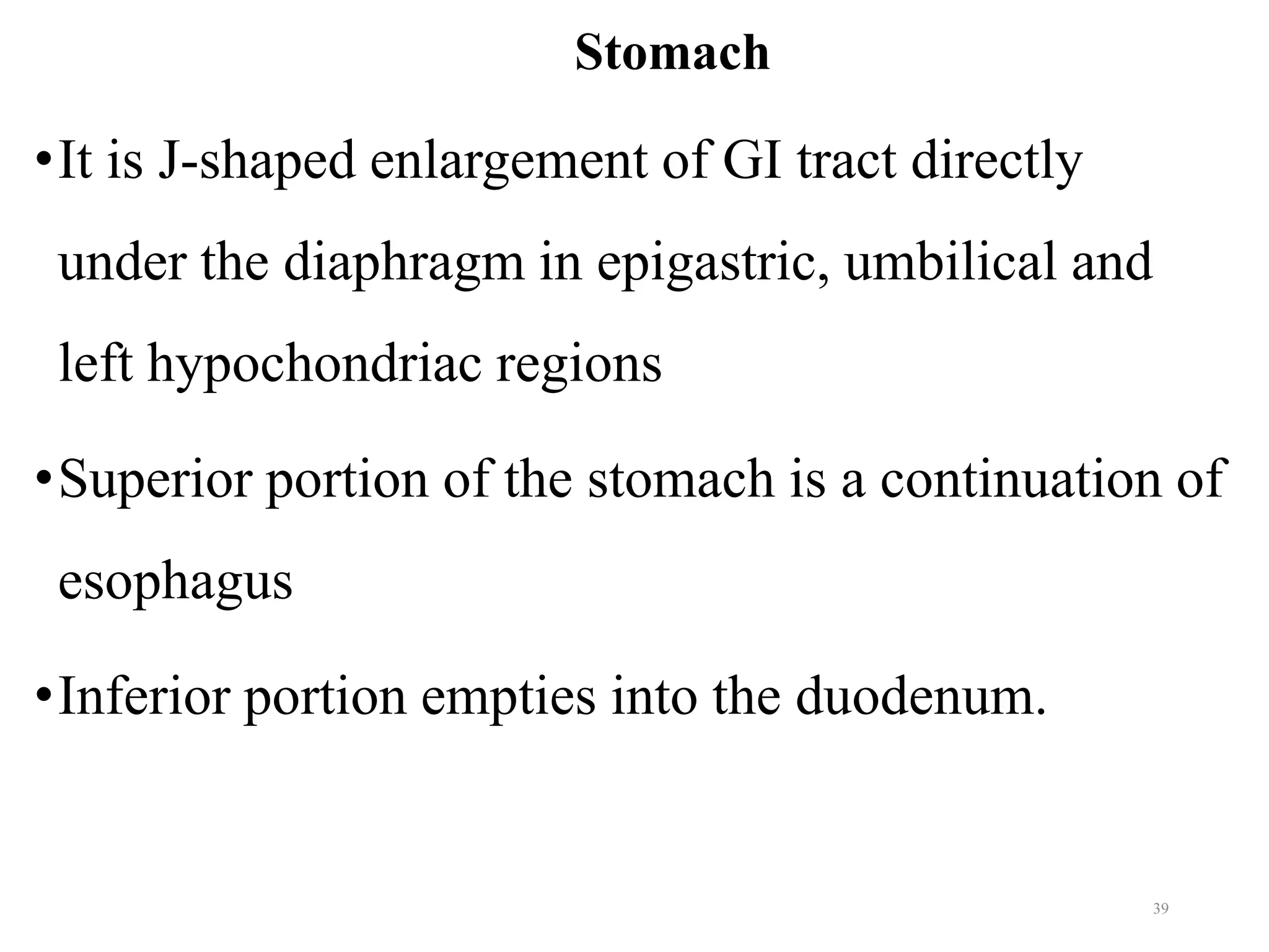 Stomach
•It is J-shaped enlargement of GI tract directly
under the diaphragm in epigastric, umbilical and
left hypochondriac regions
•Superior portion of the stomach is a continuation of
esophagus
•Inferior portion empties into the duodenum.
39
 