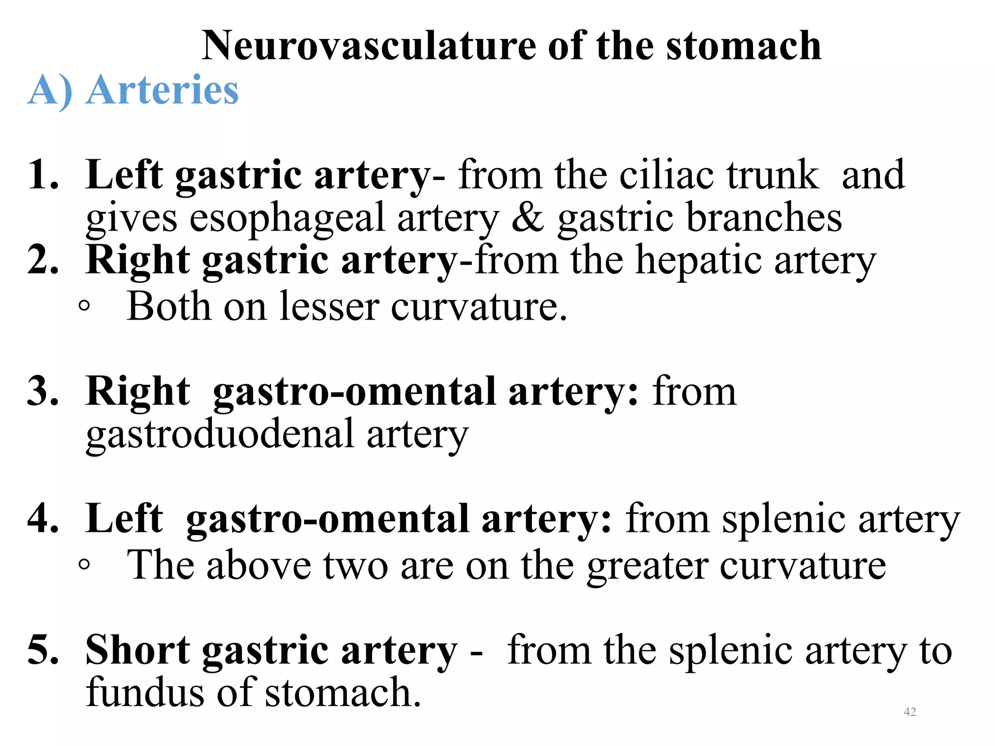Neurovasculature of the stomach
42
A) Arteries
1. Left gastric artery- from the ciliac trunk and
gives esophageal artery & gastric branches
2. Right gastric artery-from the hepatic artery
◦ Both on lesser curvature.
3. Right gastro-omental artery: from
gastroduodenal artery
4. Left gastro-omental artery: from splenic artery
◦ The above two are on the greater curvature
5. Short gastric artery - from the splenic artery to
fundus of stomach.
 