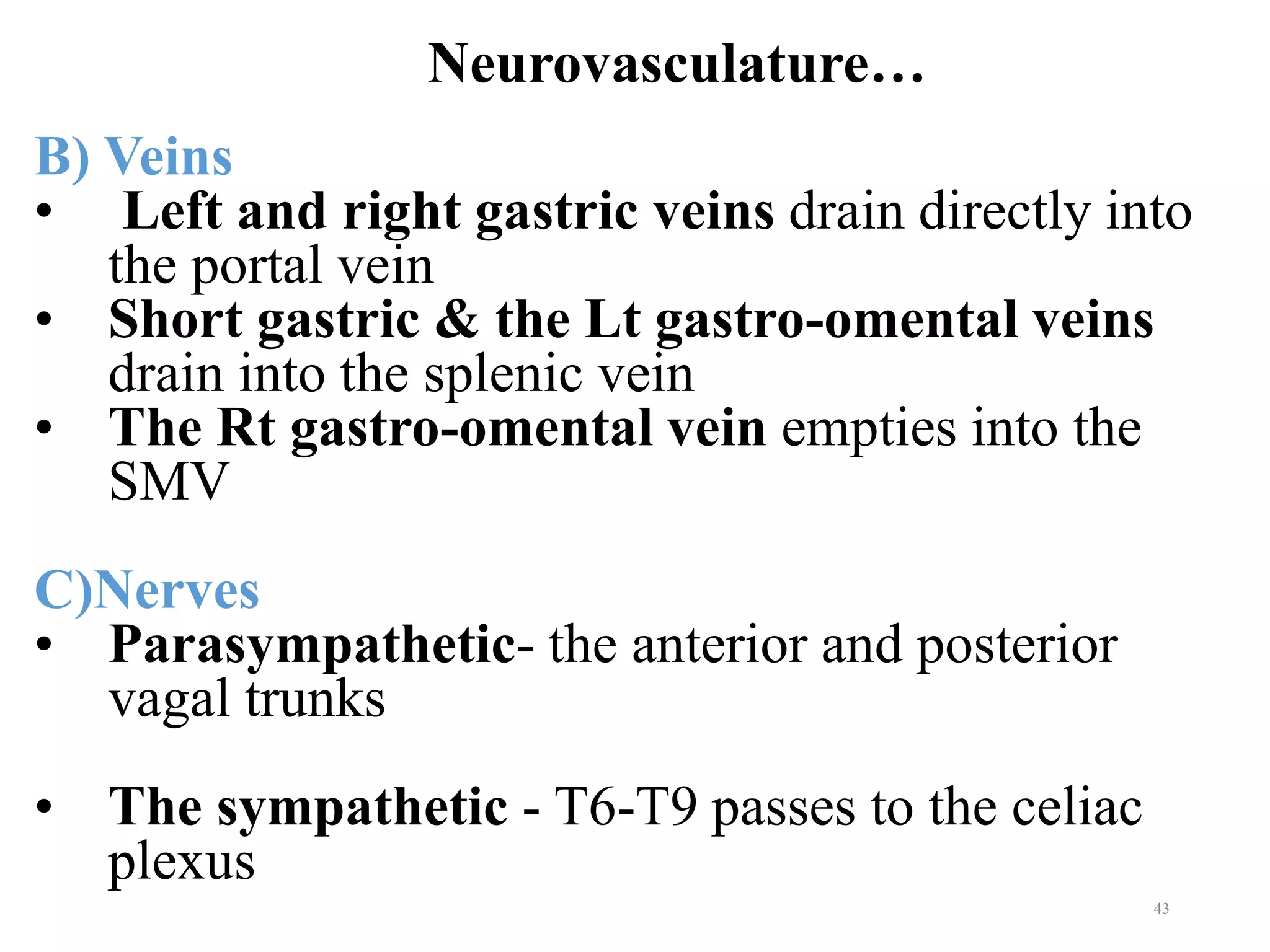 Neurovasculature…
43
B) Veins
• Left and right gastric veins drain directly into
the portal vein
• Short gastric & the Lt gastro-omental veins
drain into the splenic vein
• The Rt gastro-omental vein empties into the
SMV
C)Nerves
• Parasympathetic- the anterior and posterior
vagal trunks
• The sympathetic - T6-T9 passes to the celiac
plexus
 