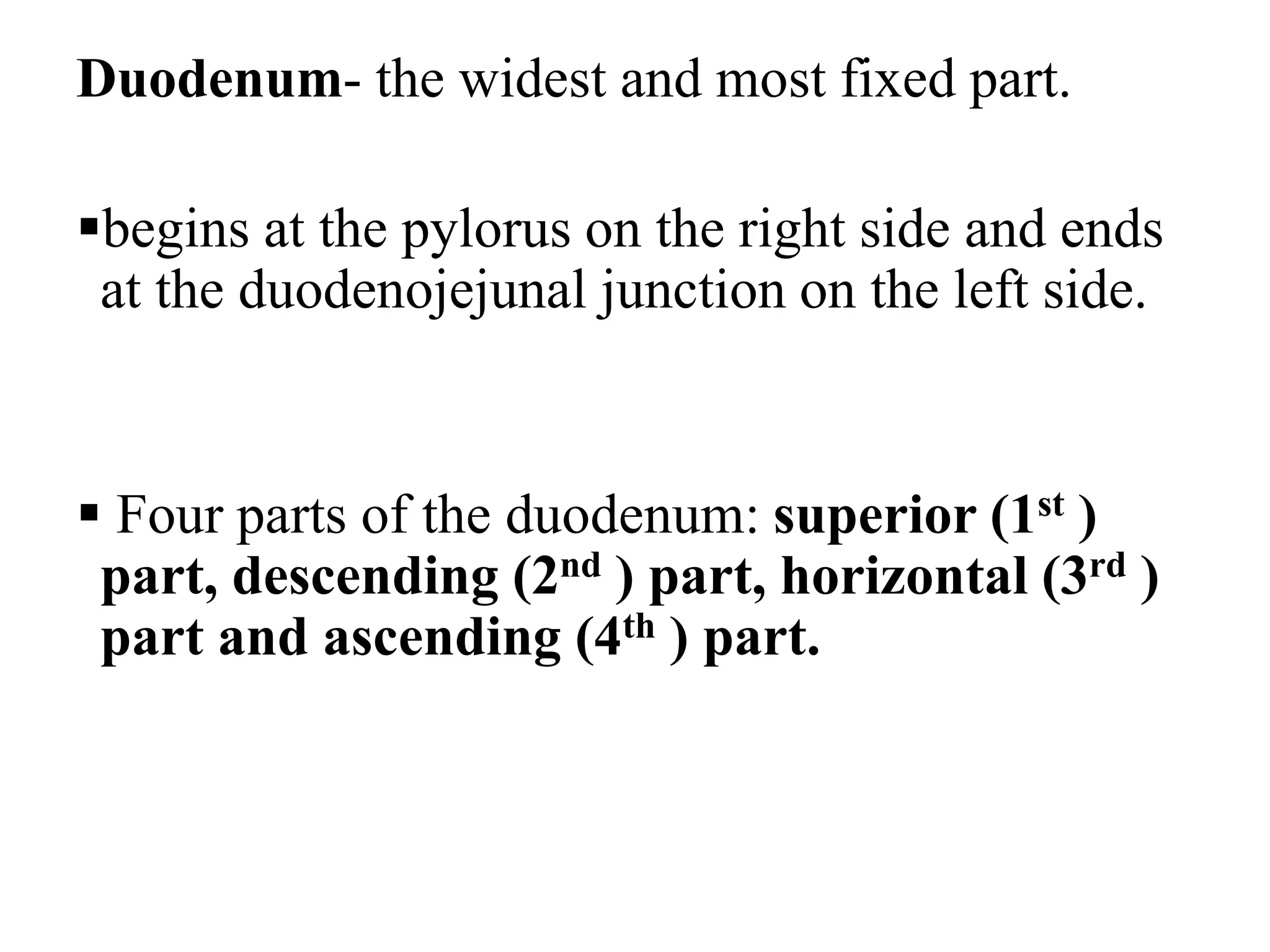 Duodenum- the widest and most fixed part.
▪begins at the pylorus on the right side and ends
at the duodenojejunal junction on the left side.
▪ Four parts of the duodenum: superior (1st )
part, descending (2nd ) part, horizontal (3rd )
part and ascending (4th ) part.
 