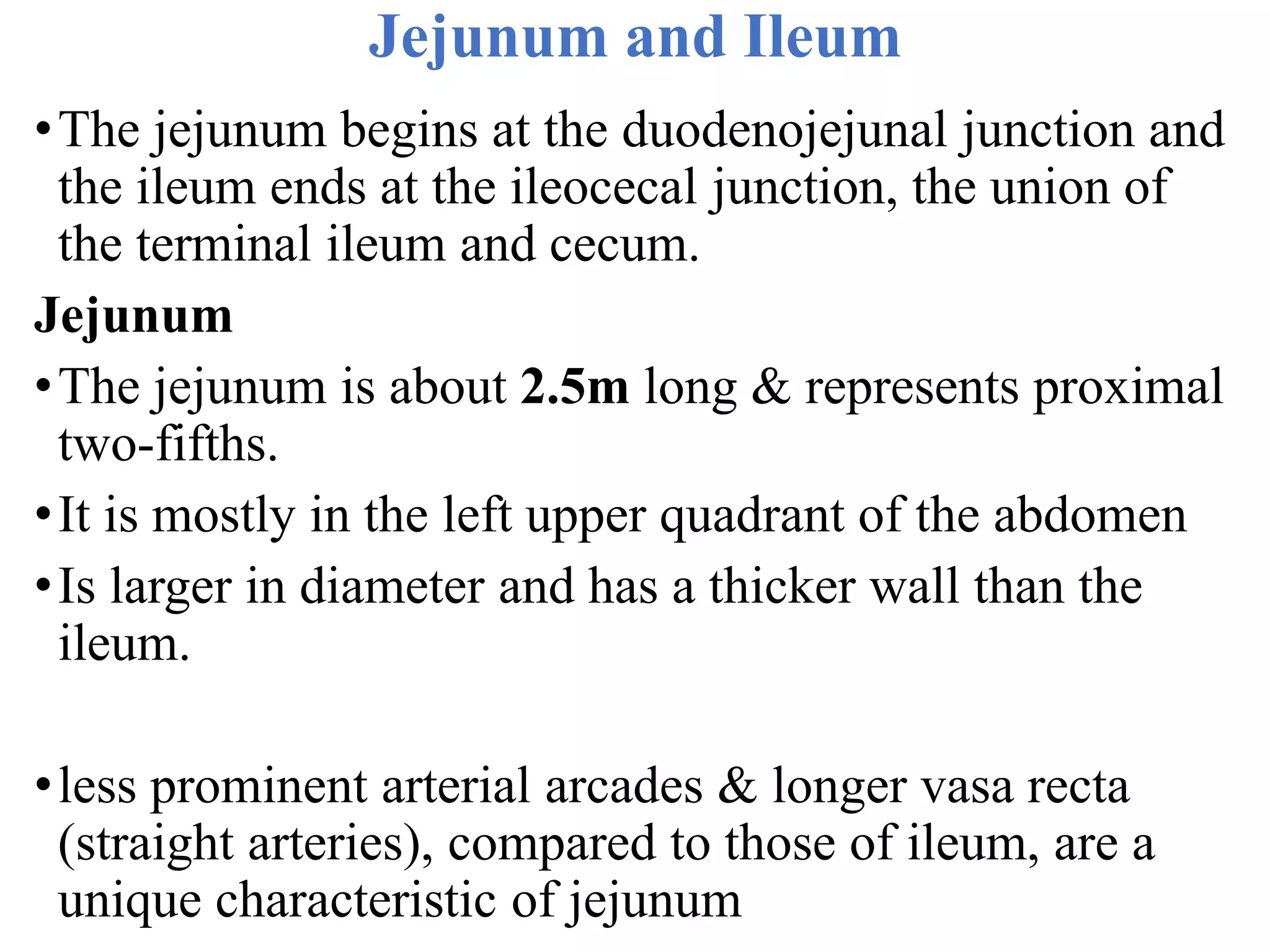 Jejunum and Ileum
•The jejunum begins at the duodenojejunal junction and
the ileum ends at the ileocecal junction, the union of
the terminal ileum and cecum.
Jejunum
•The jejunum is about 2.5m long & represents proximal
two-fifths.
•It is mostly in the left upper quadrant of the abdomen
•Is larger in diameter and has a thicker wall than the
ileum.
•less prominent arterial arcades & longer vasa recta
(straight arteries), compared to those of ileum, are a
unique characteristic of jejunum
 