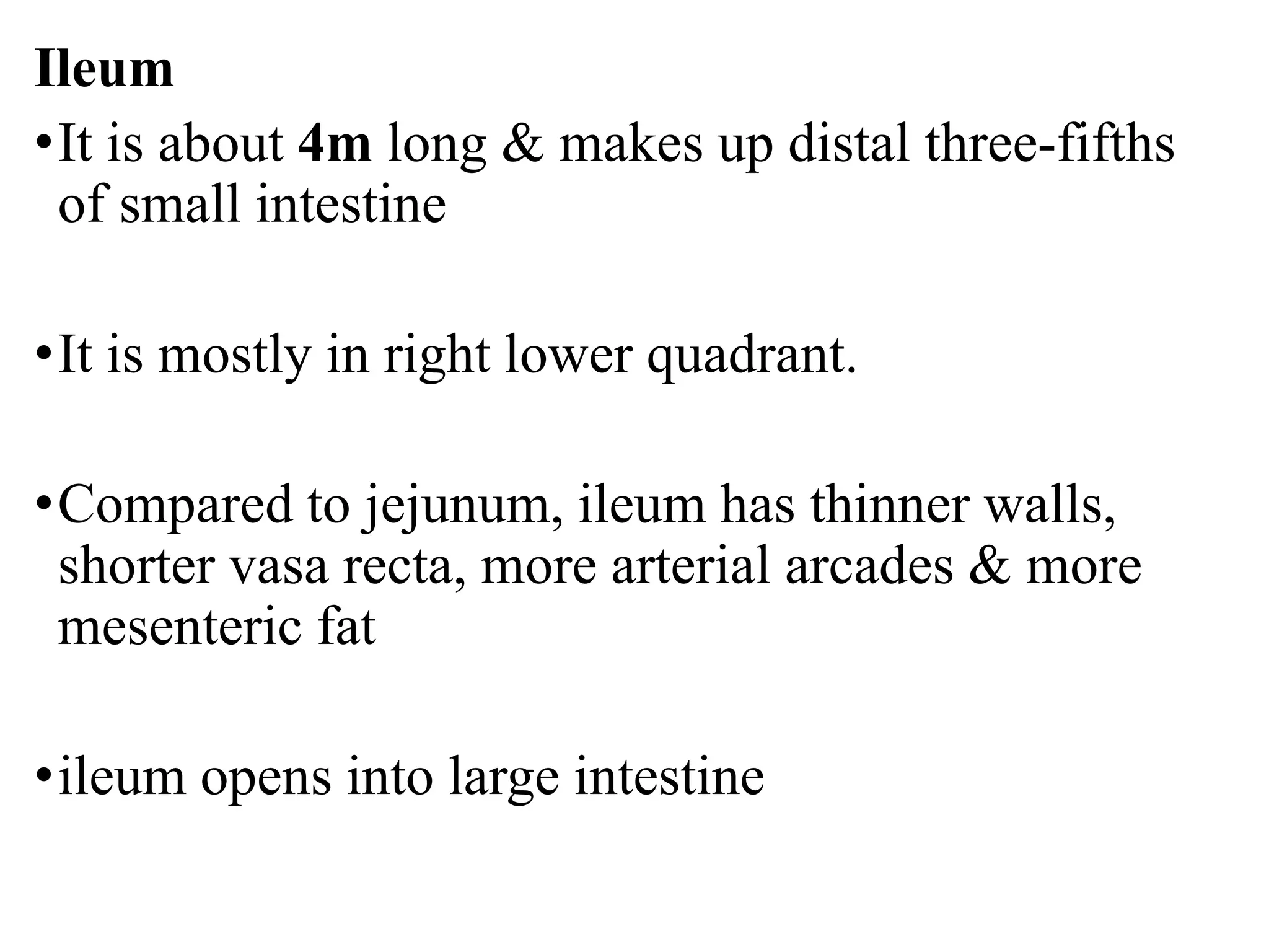Ileum
•It is about 4m long & makes up distal three-fifths
of small intestine
•It is mostly in right lower quadrant.
•Compared to jejunum, ileum has thinner walls,
shorter vasa recta, more arterial arcades & more
mesenteric fat
•ileum opens into large intestine
 