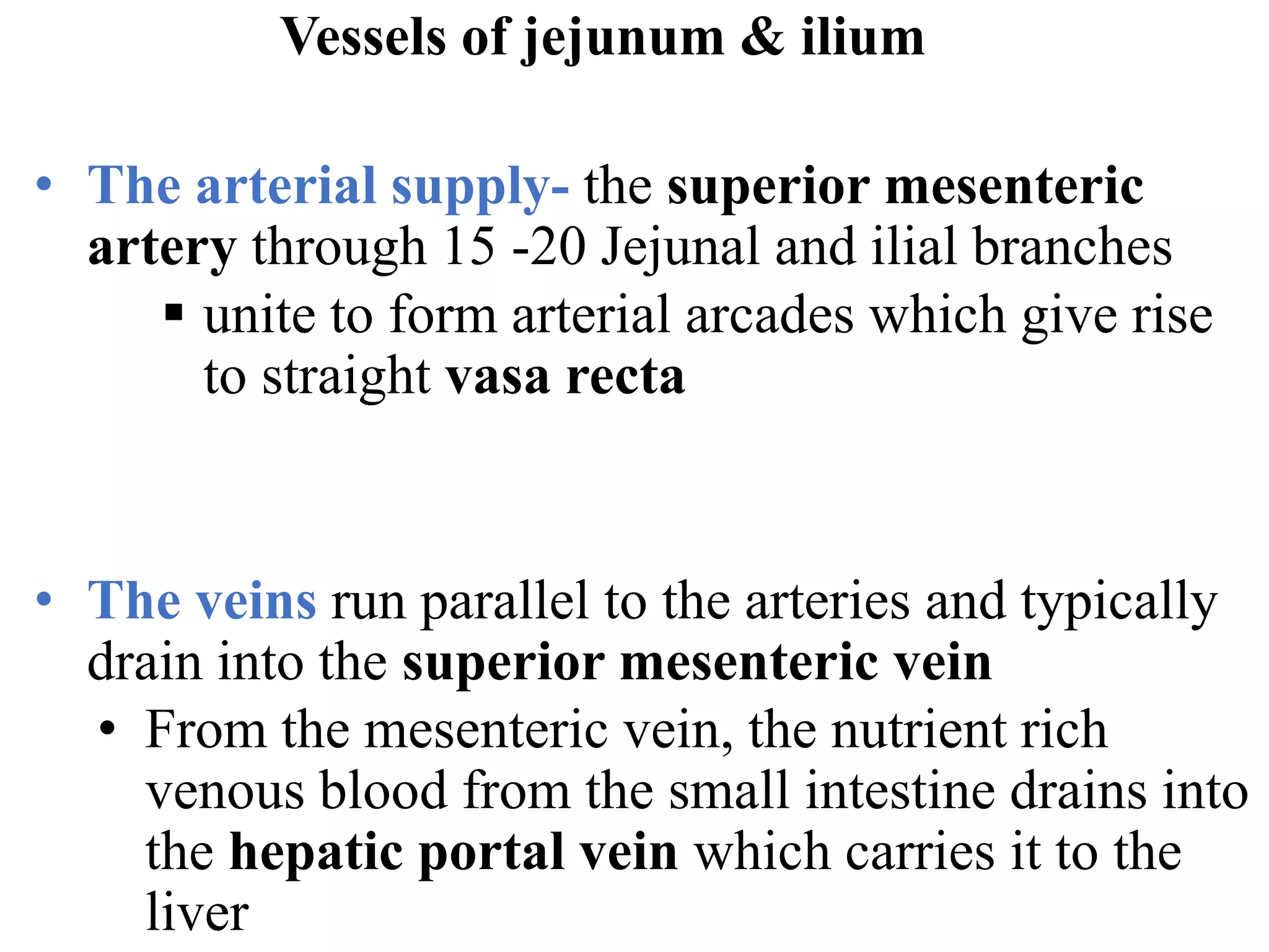 Vessels of jejunum & ilium
• The arterial supply- the superior mesenteric
artery through 15 -20 Jejunal and ilial branches
▪ unite to form arterial arcades which give rise
to straight vasa recta
• The veins run parallel to the arteries and typically
drain into the superior mesenteric vein
• From the mesenteric vein, the nutrient rich
venous blood from the small intestine drains into
the hepatic portal vein which carries it to the
liver
 