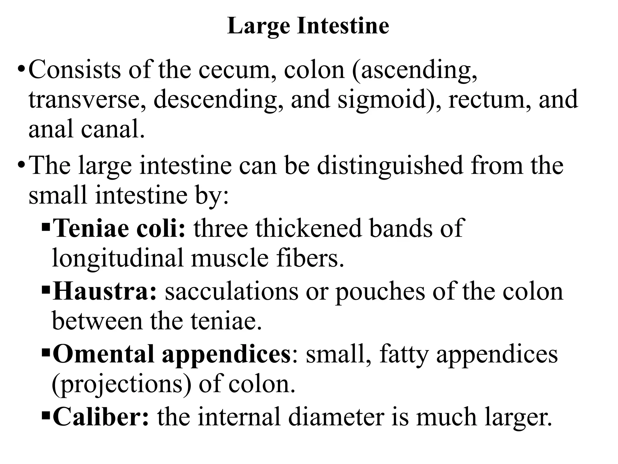 Large Intestine
•Consists of the cecum, colon (ascending,
transverse, descending, and sigmoid), rectum, and
anal canal.
•The large intestine can be distinguished from the
small intestine by:
▪Teniae coli: three thickened bands of
longitudinal muscle fibers.
▪Haustra: sacculations or pouches of the colon
between the teniae.
▪Omental appendices: small, fatty appendices
(projections) of colon.
▪Caliber: the internal diameter is much larger.
 