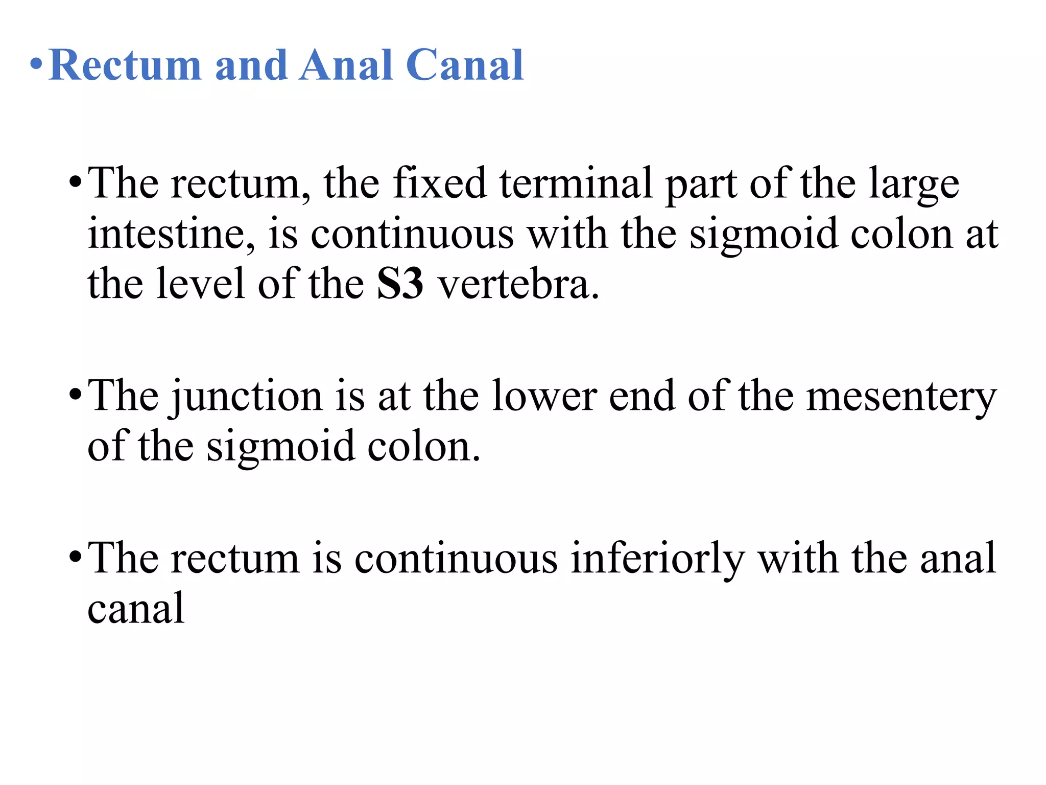 •Rectum and Anal Canal
•The rectum, the fixed terminal part of the large
intestine, is continuous with the sigmoid colon at
the level of the S3 vertebra.
•The junction is at the lower end of the mesentery
of the sigmoid colon.
•The rectum is continuous inferiorly with the anal
canal
 
