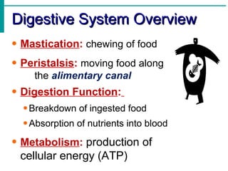Digestive System Overview
• Mastication: chewing of food
• Peristalsis: moving food along
    the alimentary canal
• Digestion Function:
  • Breakdown of ingested food
  • Absorption of nutrients into blood
• Metabolism: production of
 cellular energy (ATP)
 