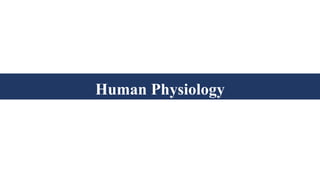 Human Physiology
 