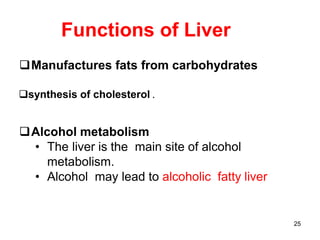 25
Functions of Liver
Manufactures fats from carbohydrates
synthesis of cholesterol .
Alcohol metabolism
• The liver is the main site of alcohol
metabolism.
• Alcohol may lead to alcoholic fatty liver
 