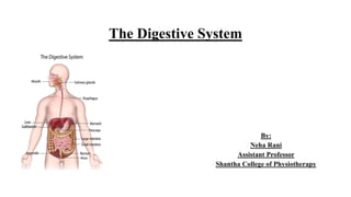 The Digestive System
By:
Neha Rani
Assistant Professor
Shantha College of Physiotherapy
 