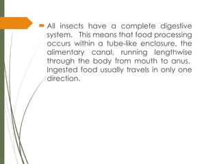 digestive system of an insects.pptx free | PPTX | Digestive Disorders ...