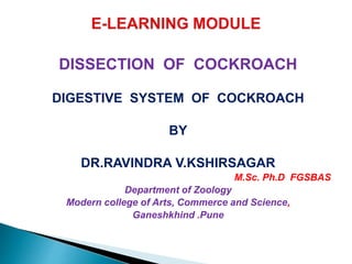 DISSECTION OF COCKROACH
DIGESTIVE SYSTEM OF COCKROACH
BY
DR.RAVINDRA V.KSHIRSAGAR
M.Sc. Ph.D FGSBAS
Department of Zoology
Modern college of Arts, Commerce and Science,
Ganeshkhind .Pune
 