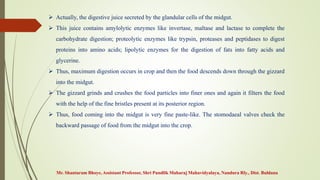  Actually, the digestive juice secreted by the glandular cells of the midgut.
 This juice contains amylolytic enzymes like invertase, maltase and lactase to complete the
carbohydrate digestion; proteolytic enzymes like trypsin, proteases and peptidases to digest
proteins into amino acids; lipolytic enzymes for the digestion of fats into fatty acids and
glycerine.
 Thus, maximum digestion occurs in crop and then the food descends down through the gizzard
into the midgut.
 The gizzard grinds and crushes the food particles into finer ones and again it filters the food
with the help of the fine bristles present at its posterior region.
 Thus, food coming into the midgut is very fine paste-like. The stomodaeal valves check the
backward passage of food from the midgut into the crop.
Mr. Shantaram Bhoye, Assistant Professor, Shri Pundlik Maharaj Mahavidyalaya, Nandura Rly., Dist. Buldana
 