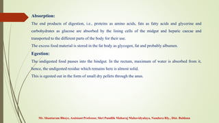 Mr. Shantaram Bhoye, Assistant Professor, Shri Pundlik Maharaj Mahavidyalaya, Nandura Rly., Dist. Buldana
Absorption:
The end products of digestion, i.e., proteins as amino acids, fats as fatty acids and glycerine and
carbohydrates as glucose are absorbed by the lining cells of the midgut and hepatic caecae and
transported to the different parts of the body for their use.
The excess food material is stored in the fat body as glycogen, fat and probably albumen.
Egestion:
The undigested food passes into the hindgut. In the rectum, maximum of water is absorbed from it,
hence, the undigested residue which remains here is almost solid.
This is egested out in the form of small dry pellets through the anus.
 