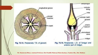 Mr. Shantaram Bhoye, Assistant Professor, Shri Pundlik Maharaj Mahavidyalaya, Nandura Rly., Dist. Buldana
 