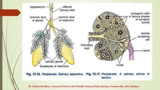 Mr. Shantaram Bhoye, Assistant Professor, Shri Pundlik Maharaj Mahavidyalaya, Nandura Rly., Dist. Buldana
 