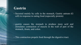 Digestive system of fish | PPTX