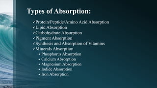 Digestive system of fish | PPTX
