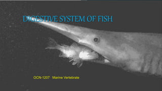 DIGESTIVE SYSTEM OF FISH
OCN-1207 Marine Vertebrate
 