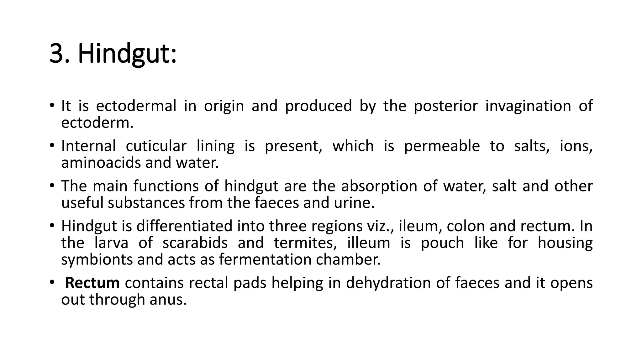 Digestive system of insect | PPTX