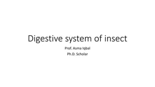 Digestive system of insect
Prof. Asma Iqbal
Ph.D. Scholar
 