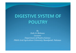 By
Zaib-Ur-Rehman
Lecturer
Department of Poultry Science
PMAS-Arid Agriculture University, Rawalpindi, Pakistan
 