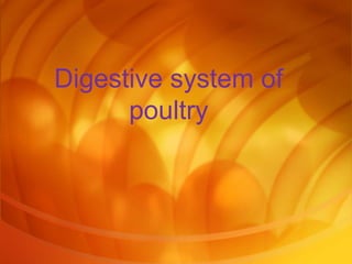 Digestive system of
poultry
 