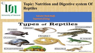 Topic: Nutrition and Digestive system Of
Reptiles
 