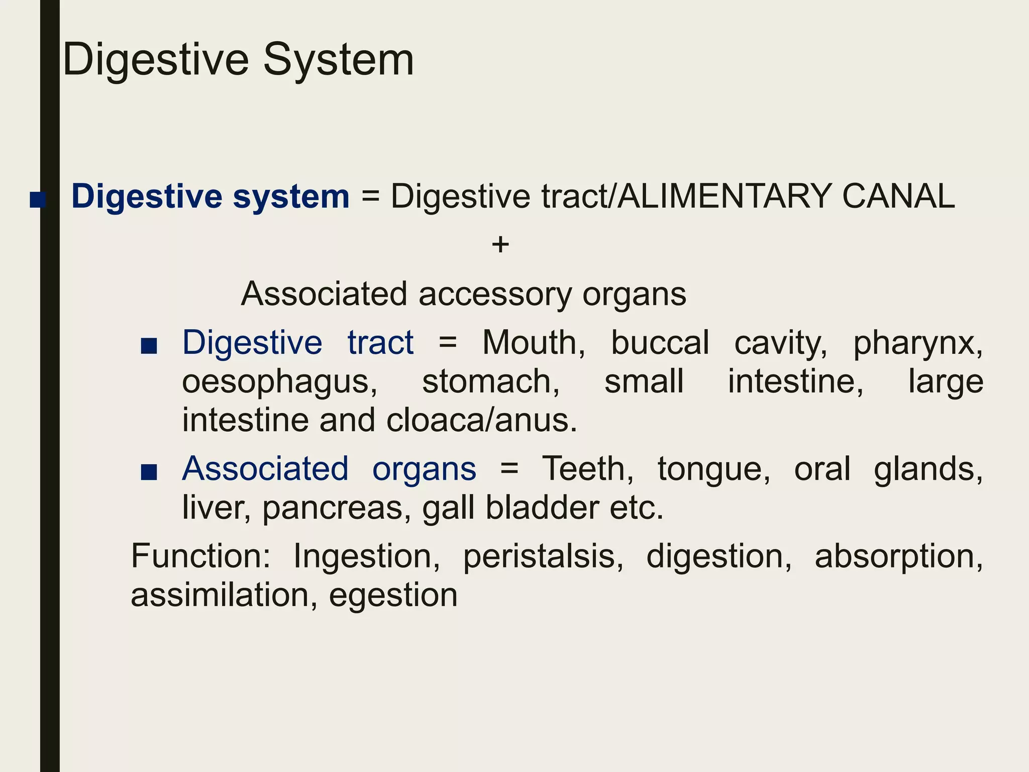 Digestive system of vertebrates | PPTX