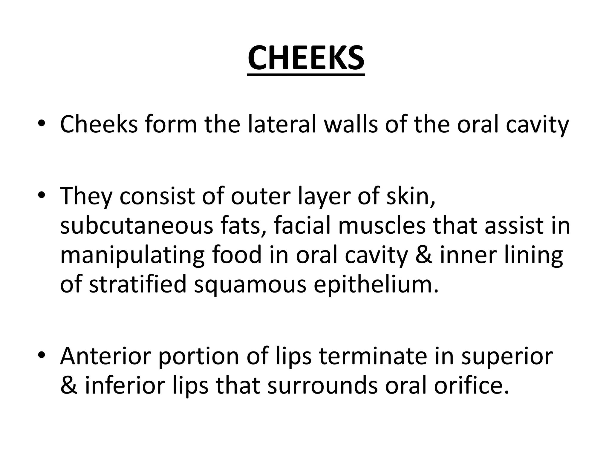 Digestive system part 1 | PPTX