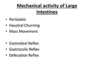 Haustral Activity Digestive system part 2 | PPTX
