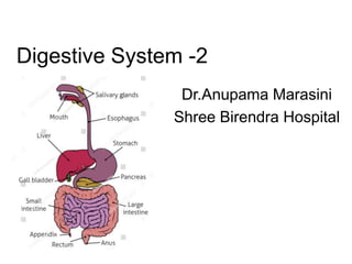 Digestive System -2
Dr.Anupama Marasini
Shree Birendra Hospital
 
