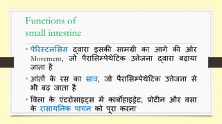 Digestive system part 3 (small and large intestine) hindi | PPTX
