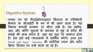 Digestive system part 3 (small and large intestine) hindi | PPTX