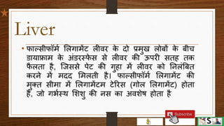 Digestive system part 4 (pancreas, liver and gall bladder) hindi | PPTX