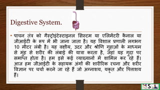 Digestive system part 4 (pancreas, liver and gall bladder) hindi | PPTX