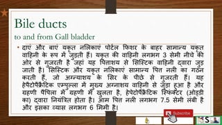 Digestive system part 4 (pancreas, liver and gall bladder) hindi | PPTX