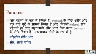 Digestive system part 4 (pancreas, liver and gall bladder) hindi | PPTX