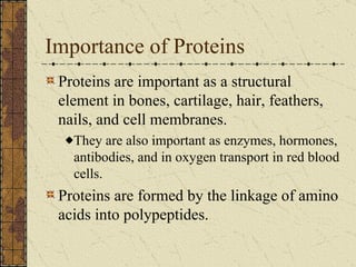 Importance of Proteins Proteins are important as a structural element in bones, cartilage, hair, feathers, nails, and cell membranes. They are also important as enzymes, hormones, antibodies, and in oxygen transport in red blood cells. Proteins are formed by the linkage of amino acids into polypeptides. 