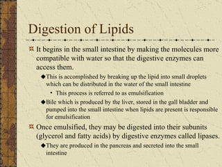 Digestion of Lipids It begins in the small intestine by making the molecules more compatible with water so that the digestive enzymes can access them. This is accomplished by breaking up the lipid into small droplets which can be distributed in the water of the small intestine This process is referred to as emulsification Bile which is produced by the liver, stored in the gall bladder and pumped into the small intestine when lipids are present is responsible for emulsification Once emulsified, they may be digested into their subunits (glycerol and fatty acids) by digestive enzymes called lipases. They are produced in the pancreas and secreted into the small intestine 