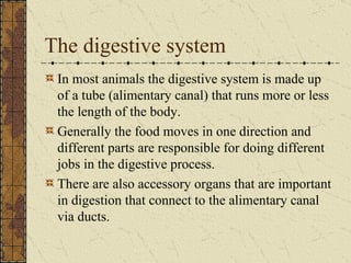The digestive system In most animals the digestive system is made up of a tube (alimentary canal) that runs more or less the length of the body. Generally the food moves in one direction and different parts are responsible for doing different jobs in the digestive process. There are also accessory organs that are important in digestion that connect to the alimentary canal via ducts. 