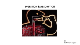 DIGESTION & ABSORPTION
BY:
Dr. Manisha Kapoor
 