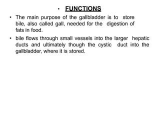 Digestive system physiology.pptx