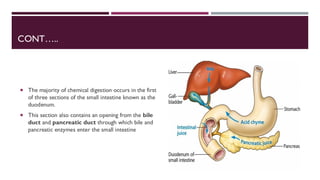 CONT…..
 The majority of chemical digestion occurs in the first
of three sections of the small intestine known as the
duodenum.
 This section also contains an opening from the bile
duct and pancreatic duct through which bile and
pancreatic enzymes enter the small intestine
 
