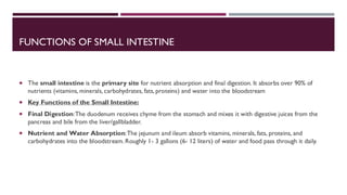 FUNCTIONS OF SMALL INTESTINE
 The small intestine is the primary site for nutrient absorption and final digestion. It absorbs over 90% of
nutrients (vitamins, minerals, carbohydrates, fats, proteins) and water into the bloodstream
 Key Functions of the Small Intestine:
 Final Digestion:The duodenum receives chyme from the stomach and mixes it with digestive juices from the
pancreas and bile from the liver/gallbladder.
 Nutrient and Water Absorption:The jejunum and ileum absorb vitamins, minerals, fats, proteins, and
carbohydrates into the bloodstream. Roughly 1- 3 gallons (6- 12 liters) of water and food pass through it daily.
 