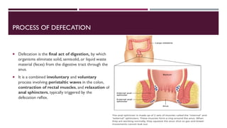 PROCESS OF DEFECATION
 Defecation is the final act of digestion, by which
organisms eliminate solid, semisolid, or liquid waste
material (feces) from the digestive tract through the
anus.
 It is a combined involuntary and voluntary
process involving peristaltic waves in the colon,
contraction of rectal muscles, and relaxation of
anal sphincters, typically triggered by the
defecation reflex.
 
